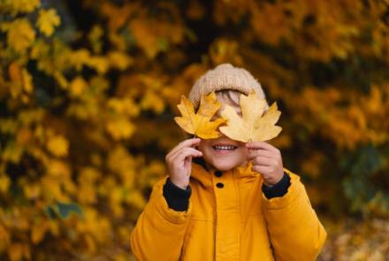 Herfst